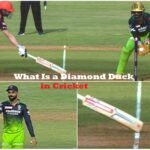 What Is a Diamond Duck in Cricket