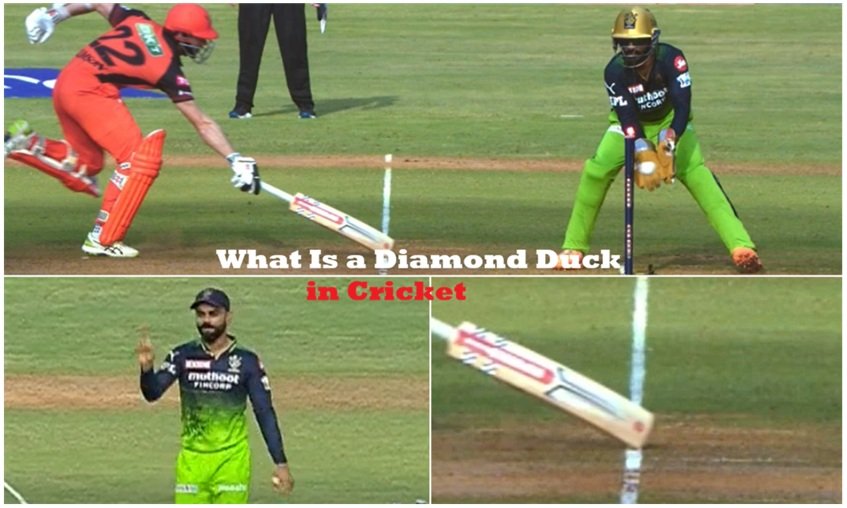 What Is a Diamond Duck in Cricket